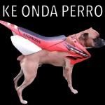 ¡A ver! Pasa foto