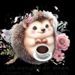 Guten Morgen 😄