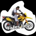 Todo, bien