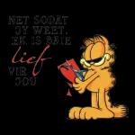 Goeie More