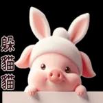 Piggy Rabbit so Cute