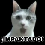 ¡IMPAKTADO!