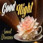 good night dear friend