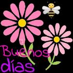 Buenos dias 