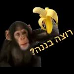 התחלה