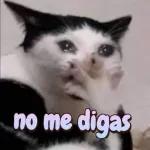siiiii