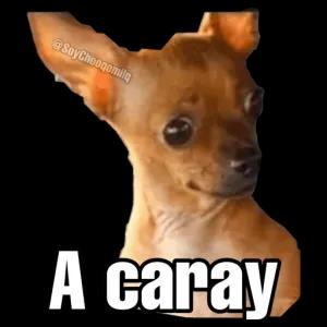 @soyChoogomila A caray  - getsticker.com