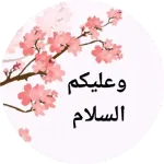 واه واه کیا بات لے گیاڈی