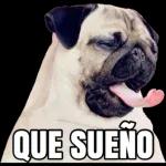 Porqué no me contestas