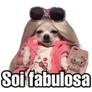 CTXwgV