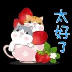 懶貓家族12 小太陽和家人-甜蜜草莓篇