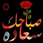 0bee395f331ea9fa16b995da025a82cf