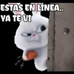 Estoy enojada