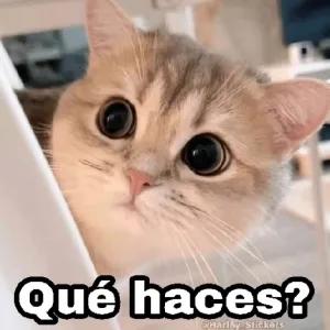 Qué haces? - getsticker.com