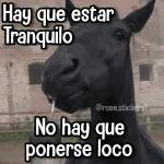 Memes con Frases #2🧠