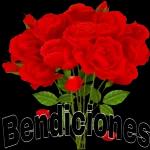 roses for you😘😘😘