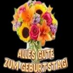 Verschiedene Arten von Aufklebern👇🏻