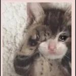 Love you so much 🥰