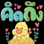 ชบา ” ไม่เคย อิจฉา.. “กุหลาบ ”