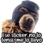 Y ESA RESPUESTA PORQUE?
