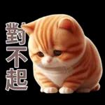 呆萌小橘猫
