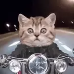 Спаси и сохрани!!!