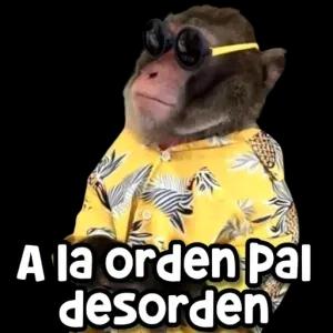 A la orden pal desorden - getsticker.com