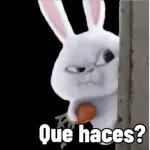 Que haces?