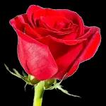 Be Mine tonight😘😘😘🌙🌙🌙