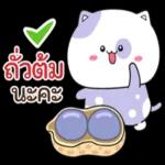 แมวนานาประเภท