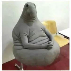 bkwVl2