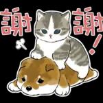 柴柴與貓咪 pack2