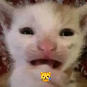 KWdyuS