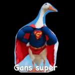 Gans toll~