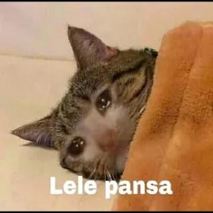 eTXbqo