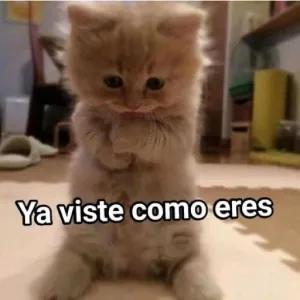 Ya viste como eres - getsticker.com