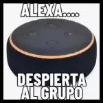 paquetes 