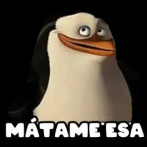 wA7YMi