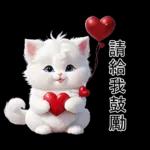 白色的貓尤其可愛