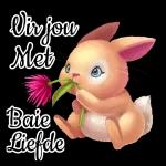 lewe is n lied
