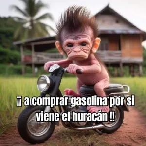 GAoefU