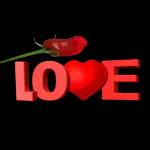 sleep with my love for you😘😘😘🌙🌙