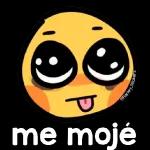 mis stickers 