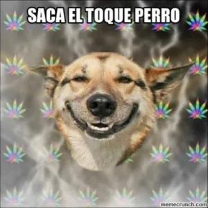 UFnSFs