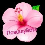 Пожалуйста