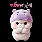 แมวฮิปโปสุดน่ารัก : คุยกันทุกวัน(BIG)