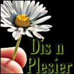 dis n plesier