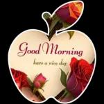 Good Morning have a nice day