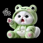 ข้าวต้ม ชุดกบ หน้าบูด