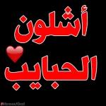 أشلون
الحبايب
#MomenAlani